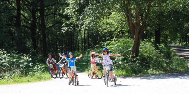 Loca Cycles – Location de vélos (Traditionnel et Electrique) à Rambouillet